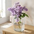 Skleněná váza čirá válcová Ø12cm H20cm | Floristik24.cz