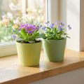 Papírový květináč, mini květináč, květináč modrá/zelená Ø9cm V7,5cm 4ks | Floristik24.cz