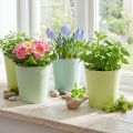 Papírový květináč, květináč, květináč modrý/zelený Ø11cm H10cm 4ks | Floristik24.cz