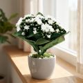 Umělá Kalanchoe Flaming Käthchen White 24cm | Floristik24.cz