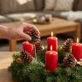 Šišky z borovice Maritima, přírodní, 5-10 cm na špejli, 50 kusů | Floristik24.cz