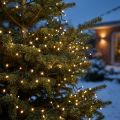 LED rýžový světelný řetěz 350 zelená, teplá bílá pro venkovní 7,5m | Floristik24.cz