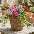 Koš na vinnou révu Ø25cm V22,5cm přírodní květináč | Floristik24.cz