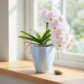 Květináč na orchidej lesklý Ø12,5cm bílý 1 ks | Floristik24.cz
