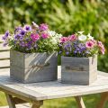 Květináč dřevěná zásuvka praná šedá 15×15cm/12×12cm sada 2 ks | Floristik24.cz