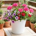 Plastový hrnec “Irys” bílý Ø22cm H18cm 1 kus | Floristik24.cz
