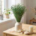 Sušená lněná tráva, zelená, 50-55 cm, dekorativní DIY | Floristik24.cz