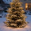 LED rýžový světelný řetěz teplá bílá pro venkovní 720er 54m | Floristik24.cz
