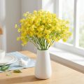 Gypsophila paniculate sádrovec bylina žluté květy L46cm 4 ks | Floristik24.cz