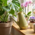 Vnitřní konev na zalévání, olivově zelená, retro styl, 24,5 cm, 1,8 l, designová konev na zalévání, plastová, zalévání rostlin | Floristik24.cz