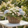 Květinový koš, shabby chic, přírodní bílá, V14cm Ø30cm s úchyty, vintage dekorace | Floristik24.cz
