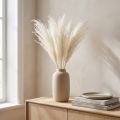 Sušené květiny, stříbrná tráva. Elegantní přírodní dekorace do domácnosti i kanceláře. 70 cm, 10 kusů. | Floristik24.cz