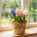 Kulatý květináč, přírodní dekorace, kůra, březový květináč, Ø12cm V10cm, 5 kusů | Floristik24.cz