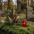 Dekorativní mech sušený lesní mech zelená přírodní dekorace 300g | Floristik24.cz