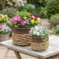 Proutěný košík Natural Proutěná miska na rostliny Natural L30/22cm V20/17cm Sada 2 ks | Floristik24.cz