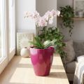 Květináč na orchidej lesklý Ø12,5cm třešeň 1 kus | Floristik24.cz