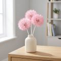 Sušené květiny, obří pampeliška, dekorace, elegantní bytový doplněk 12 cm, 4 ks | Floristik24.cz