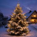 LED rýžový světelný řetěz pro venkovní 480 36m černá/teplá bílá | Floristik24.cz