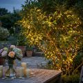 LED rýžový světelný řetěz 360 27m teplá bílá pro venkovní/vnitřní | Floristik24.cz
