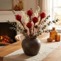 Plumosum 1 Red 25 ks | Floristik24.cz
