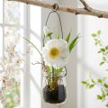 Mák ve sklenici k zavěšení bílá V22cm | Floristik24.cz