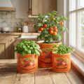 Sada květináčů na rajčata, keramické dekorativní květináče do kuchyně a retro dekorace, 14 cm, sada 3 kusů | Floristik24.cz