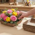 Sada 12 květinových dekorací Oasis Biolit Basic Floral Foam 13x13x2cm, 13 kusů, pro kutily | Floristik24.cz