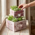 Krabice na rostliny shabby chic dekorativní zásuvka červená bílá sada 2 ks | Floristik24.cz
