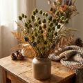 Dekorace ze sušeného jahodového bodláku, olivově zelená, Ø1–2cm, D55cm, 100g | Floristik24.cz
