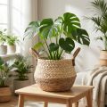 Košík s uchy, květináč, mořská tráva, juta, Ø23cm V20cm, boho chic, dekorace městské džungle | Floristik24.cz