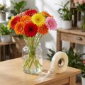 Podpěrná hadice Gerbera 17mm, 200m | Floristik24.cz