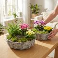 Květináč z bílé vrby, sada 2 kusů, Ø25/30 cm, dekorativní pro pokojové rostliny | Floristik24.cz