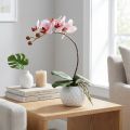 Růžová orchidej v keramickém květináči 31 cm | Floristik24.cz
