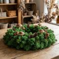 Dekorativní mech Zelený islandský mech konzervovaný mech na řemesla 400g | Floristik24.cz