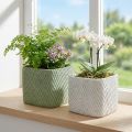 Květináč keramická bílá zelená reliéfní síťka 17x17cm H15cm 2ks | Floristik24.cz