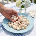 Mušle Umachi 500 g | Floristik24.cz