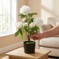 Paeonia umělá, pivoňka v květináči, dekorativní rostlina bílé květy V57cm | Floristik24.cz