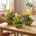 Rostlinná loď plastová dekorativní miska zelená 28×9×9cm 3ks | Floristik24.cz