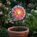 Solární LED květinové zahradní svítidlo LED kovové růžové Ø30cm | Floristik24.cz