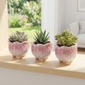 Mini květináč keramický květináč rozmanitý Ø8cm V7cm 3ks | Floristik24.cz