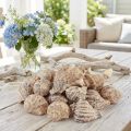 Dekorace šnečí ulita mořští šneci hnědý krém 4-6cm 300g | Floristik24.cz