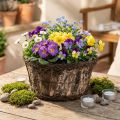 Květináč z březové kůry s přírodním motivem révy, Ø28cm, V15cm, květináč | Floristik24.cz