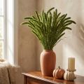 Sušené květiny, Setaria Pumila, štětinovité proso zelené 75 cm 200 g | Floristik24.cz