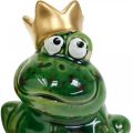 Floristik24 Dekorativní žába, žabí princ, jarní dekorace, žába se zlatou korunkou 2ks