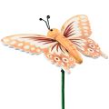 Floristik24 Květinová zátka dřevění ozdobní motýlci na špejli 23cm 16ks