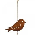 Floristik24 Dekorační ptáček, věšák na jídlo, kovová dekorace nerez 19 × 13,5cm