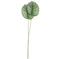 Floristik24 Calathea umělý koš Marante umělé rostliny zelený 51cm