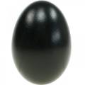 Floristik24 Husí vejce Černá vyfouknutá vejce Velikonoční dekorace 12ks