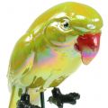 Floristik24 Zahradní hmoždinka papoušek žlutý 16cm