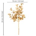 Umělý eukalyptus, zlatá dekorativní větvička na dekoraci stolu, 24 cm | Floristik24.cz